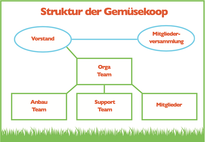 Koop Organigram